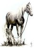 : 049056054124052057049050053054.jpg
: 19KB
: 213x300
: 15, 2005 049056054124052057049050053054.jpg