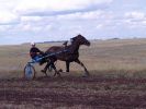 Файл : 13~0.jpg
Размер файла : 89KB
Размеры : 1024x768
Дата добавления : Дек 29, 2006 13~0.jpg