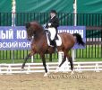 Файл : 37~0.jpg
Размер файла : 155KB
Размеры : 600x526
Дата добавления : Май 19, 2008 37~0.jpg