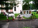 Файл : horse2~0.jpg
Размер файла : 52KB
Размеры : 533x400
Дата добавления : Авг 17, 2006 horse2~0.jpg
