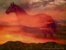 : windhorses1.jpg
: 37KB
: 1024x768
: 13, 2005 windhorses1.jpg