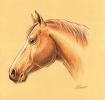 : 049056054124052057049050048048.jpg
: 37KB
: 480x454
: 02, 2006 049056054124052057049050048048.jpg