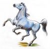 : 049056054124052057049050048050.jpg
: 29KB
: 480x475
: 02, 2006 049056054124052057049050048050.jpg