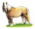 : 049056054124052057049050048052.jpg
: 43KB
: 480x399
: 02, 2006 049056054124052057049050048052.jpg