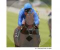 06_Dubawi.jpg