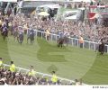 08_Dubawi-EpsomDerby.jpg