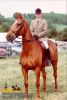 horse_0473.jpg