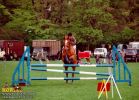 horse_0562.jpg