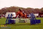 horse_0563.jpg
