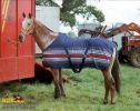 horse_2021.jpg