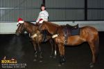 horse_3984.jpg