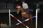 horse_3985.jpg