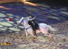 horse_7544.jpg