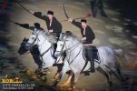 horse_7549.jpg