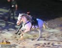 horse_7550.jpg