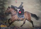 horse_7560.jpg