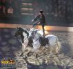 horse_7573.jpg