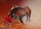 horse_7594.jpg