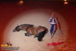 horse_7602.jpg