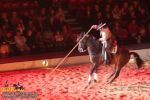 horse_7660.jpg