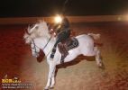 horse_7667.jpg