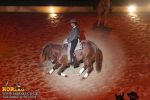 horse_7668.jpg