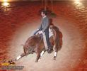 horse_7669.jpg