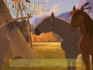 horses_011.jpg