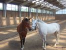 album_1209231126_1628.jpg