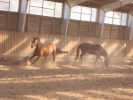 album_1209231126_2978.jpg