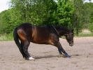 album_1209231126_5786.jpg