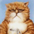864.gif