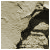 604.gif