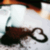 691.gif