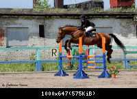 IMG 0136 6